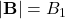 |\mathbf{B}| = B_1