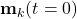 \mathbf{m}_k(t=0)